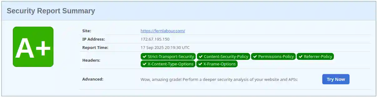 Security overview for Fern Labour